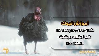 Mastering Nuke L05/آموزش نیوک جلسه پنجم