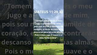 MATEUS 11: 29, 30 | O FARDO DE JESUS É LEVE #jesus #deus #senhor