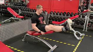 Dumbbell Leg Extension - Quads