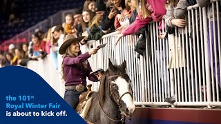 Royal Winter Fair