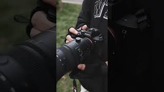 Sony A7M3 with 70-200mm photograpgy #dslr #canon #photography #nature.mp4