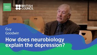 Neurobiology of Mood Disorders — Guy Goodwin / Serious Science