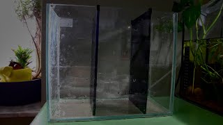 DIY tank divider for young male Betta