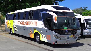 Mascarello Roma R6 | DRONEBUS | BUSES PZ 4k