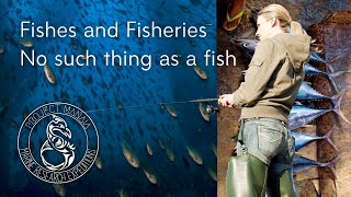 Simple Marine Biology lecture - Fish and Fisheries