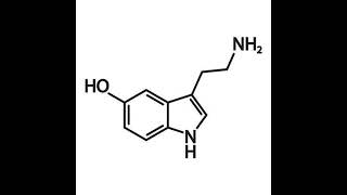 SEROTONIN DOPAMINE TECHNO MIX