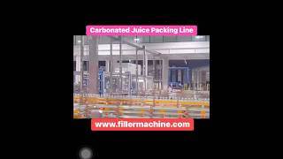 Carbonated Juice Packing Line