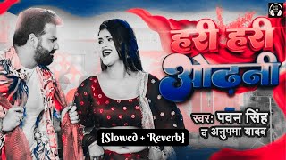 Hari Hari Odhani [Slowed+Reverb] | Pawan Singh | Bhojpuri Song | Lofi With Bass