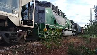 trem da rumo carregado.3 ac44i sentido Tutóia Araraquara.