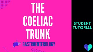 The Coeliac Trunk - Medical Tutorial