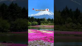 Places On Earth That Don't Feel Real Part 4        #wonderful #nature #tiktok