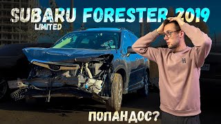 Subaru Forester 2019 Limited. Авто з США. За скільки можна пригнати Forester. Ремонт Рихтовка Продаж