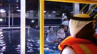 Glass Bottom Boat Ride, Dubai Mall