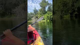 Kayaking and swimming in river