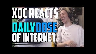 xQc REACTS TO DAILY DOSE OF INTERNET   Episode 1   xQcOW