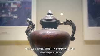 My Hangzhou Stories：Uncovering the Rich History and Culture of Hangzhou at its Iconic Museums