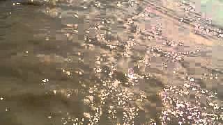 VID-20131119-00143