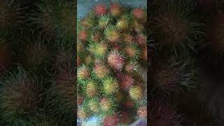 Rambutan hijau merah #rambutanfruit #shorts #sweetfruit