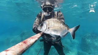 Pesca Sub: Due tiri chirurgici prima del buio nel basso fondo - 11/12/2016