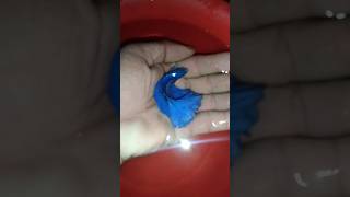 baby blue betta fish