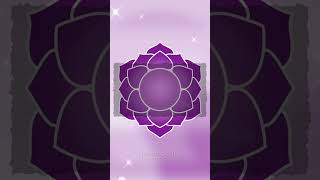 Crown Chakra | Cleanse and Open #chakras #chakra #chakrahealing