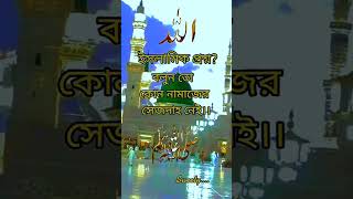 রাসুলের রওজা মোবারকে জানাই লাখো সালাম Shorts Video Asmaul Husna Hasib #shorts #shortvideo #asmaul