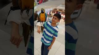 #family #tour #faisalabad #galleria #mall #vlog #like #subscribe