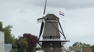 Traveller: The Netherlands, Hoek van Holland, Windmill "De Nieuwlandsche molen"