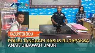 Kasus Dugaan Rudapaksa Anak Dibawah Umur Oleh Kakak Beradik, Ini Jawaban Polisi