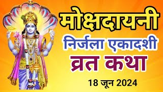 Ekadashi Vrat Katha | एकादशी व्रत कथा | Nirjala Ekadashi Vrat Ki Katha | nirjala ekadashi 2024