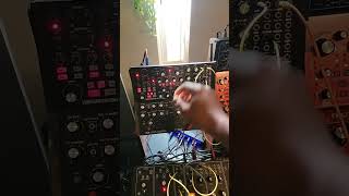 Building drum kits from moog subharmonicon. inspired me into making a beat