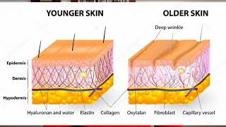 Коллекция Oxiology Faberlic  Кислородные дроны  Технология 4D target