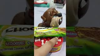 Don't touch grumpy's dog Choco bar #asmr #shorts #best #trendy #grumpydog