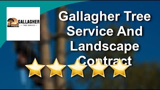 Gallagher Tree Service And Landscape Contracting Reviews - 5 Stars for Tree Removal in Spring C...