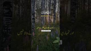 Surah Fussilat Verses 45 and 46 Urdu Translation#qurantranslation#youtubeshorts#trending#viralvideo