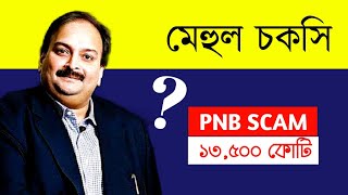 পাঞ্জাব ন্যাশনাল ব্যাংক জালিয়াতি কি ? কিভাবে হয়েছে ? মেহুল চকসী | নীরব মোদী | CBI