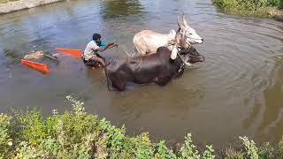 Cleaning for ayuthapooja | ஆயுதபூஜை