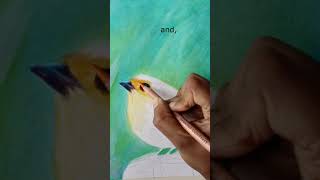 Drawing a realistic Robin Bird with Derwent Lightfast Colored Pencils and Inktense Pencils #shorts