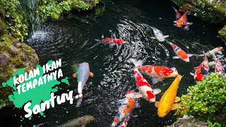 Kolam Ikan Mini di samping Rumah