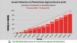 Weekly Report of the OIC Media Observatory on Israeli Crimes against the Palestinians 08-14/10/2024