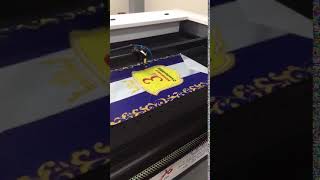 Fabric Laser Engraving Cutting Machine (jhx laser)