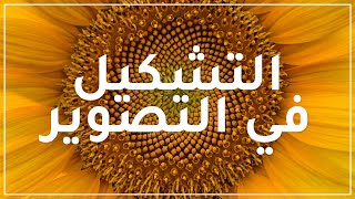 طرق تشكيل وترتيب عناصر الصور