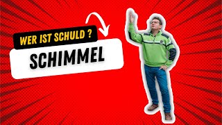 Schimmel - Wer ist Schuld?