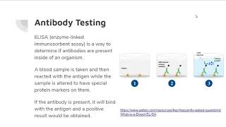 Applications of Antibody Technology