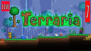 [🔴Live] Terraria 7 สำรวจป่าดิบชื้น