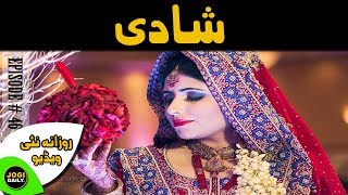 Shadi| Episode:46 | 1 Minute Video! |Jogi Daily