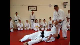 Nariyama Shihan demonstrates waza from Koho ryoti dori