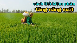 Cách bón phân đón đòng tiết kiệm tăng năng suất #24 l Thanhdotv