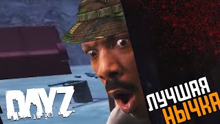 Спрятался на самом видном месте DayZ