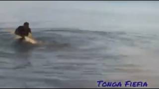 Man attacks shark in shallow water